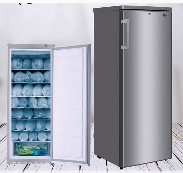 Roch congelateur debout 395-J