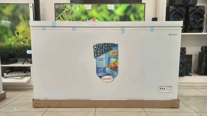 Sharp congelateur 580